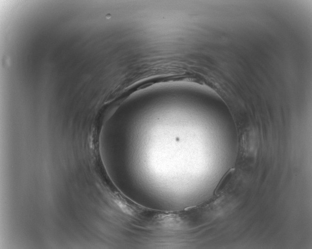 X0000065240424200602211218