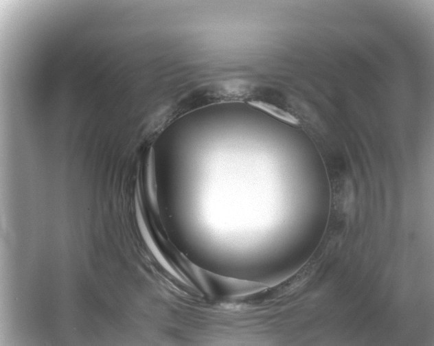 X0000065240425200602211218