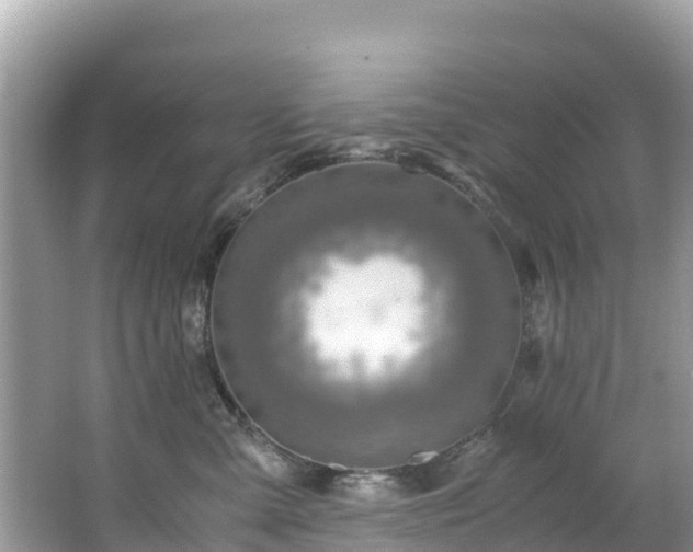 X0000065240427200602211218