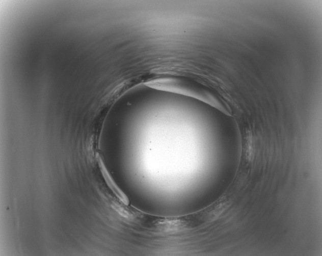 X0000065240428200602211218