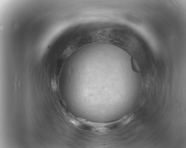 X0000065240431200602211218