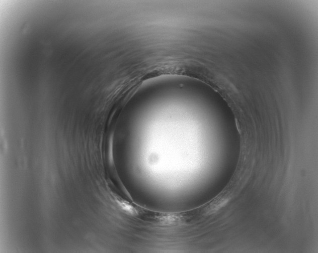 X0000065240432200602211218