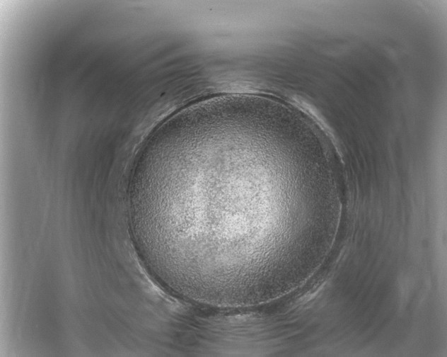 X0000065240433200602211217