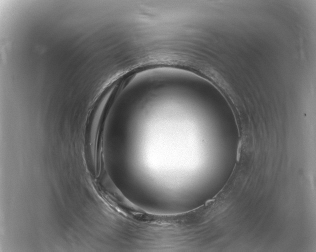 X0000065240434200602211217