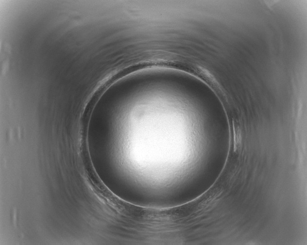 X0000065240435200602211217