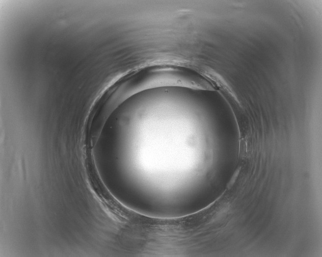 X0000065240436200602211217