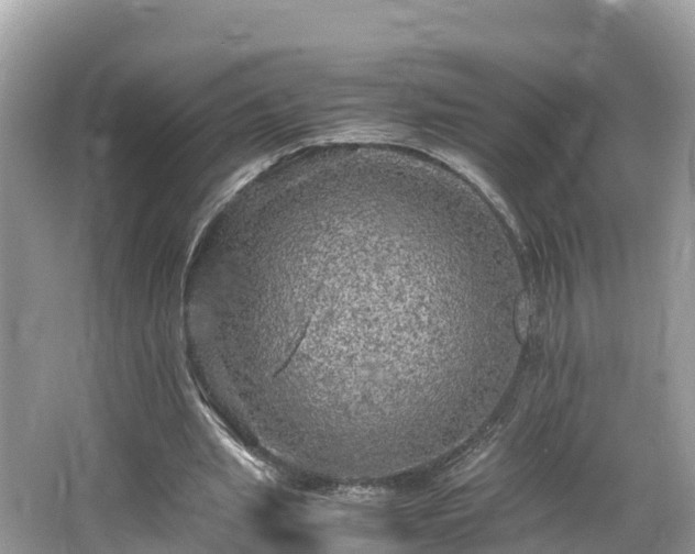 X0000065240437200602211217