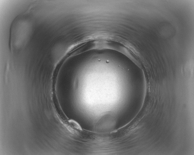 X0000065240438200602211217