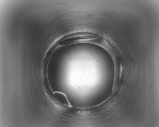 X0000065240440200602211217