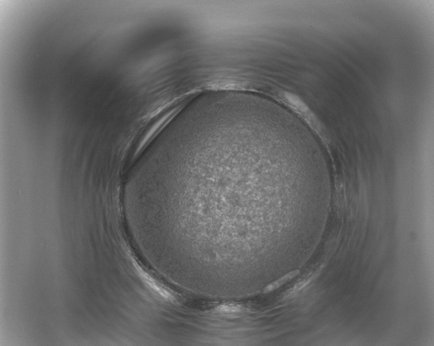 X0000065240441200602211217