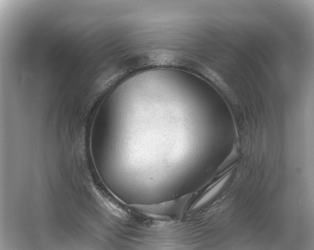 X0000065240442200602211217