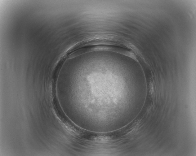 X0000065240444200602211217