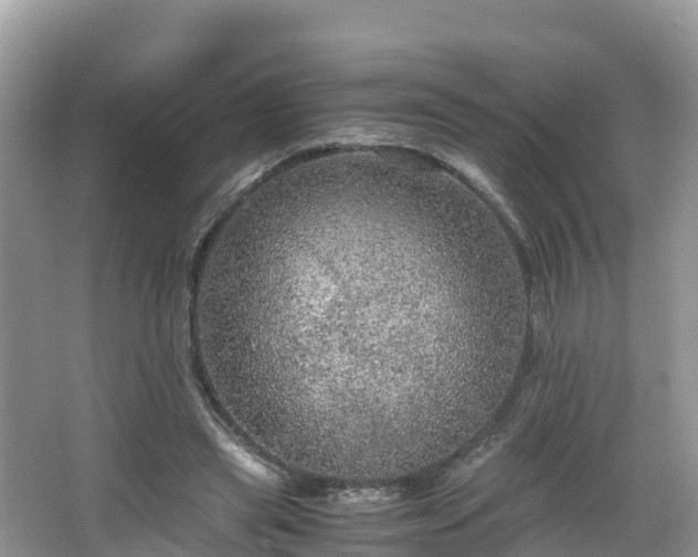 X0000065240445200602211217