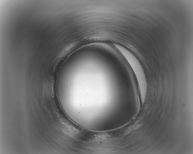 X0000065240446200602211217