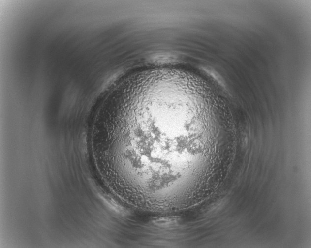 X0000065240447200602211217