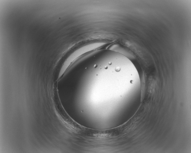 X0000065240448200602211217