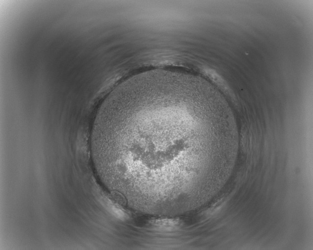 X0000065240449200602211217