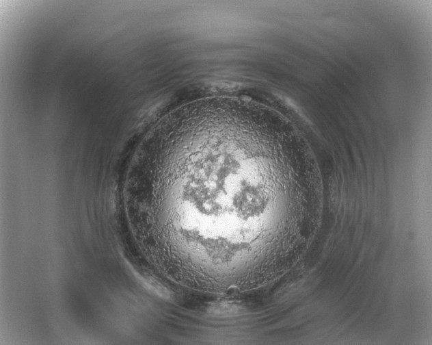 X0000065240451200602211217