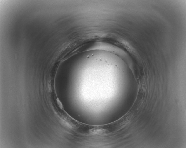 X0000065240452200602211217