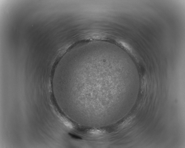 X0000065240453200602211217