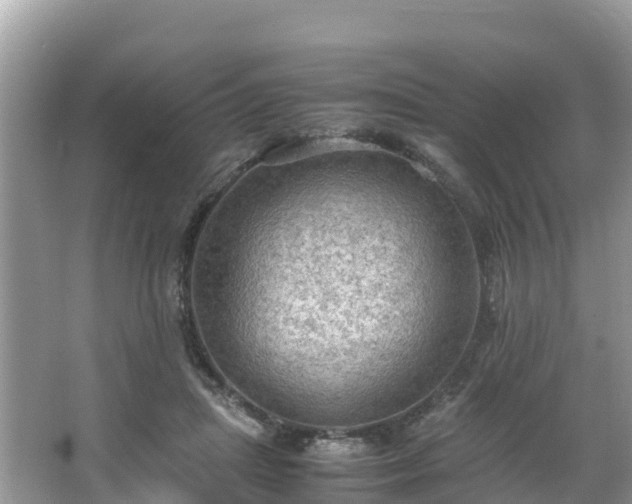 X0000065240455200602211217