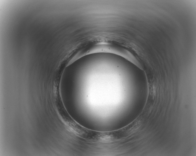 X0000065240456200602211218