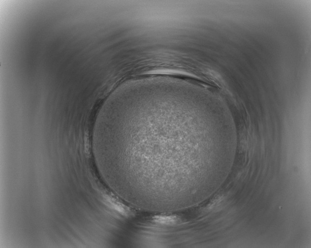 X0000065240457200602211218