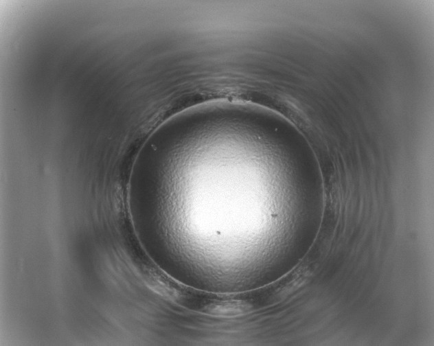 X0000065240459200602211218