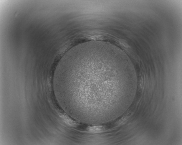 X0000065240461200602211218