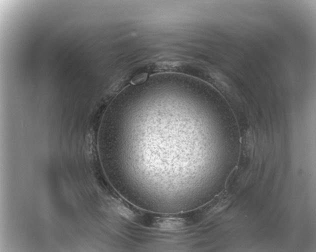 X0000065240463200602211218