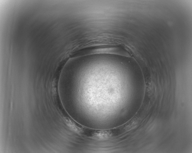 X0000065240466200602211218