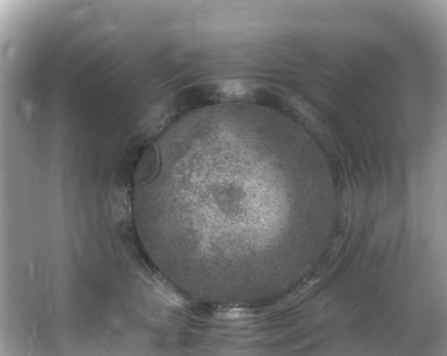 X0000065240467200602211218