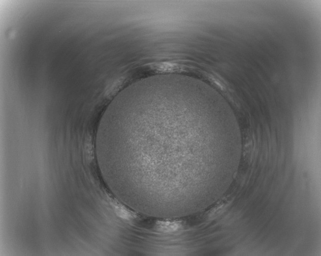 X0000065240469200602211218