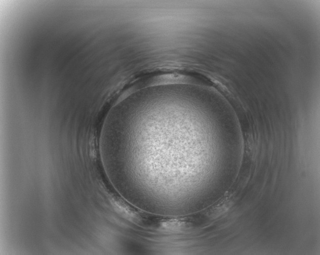 X0000065240470200602211218