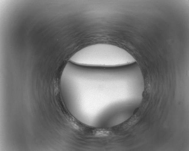 X0000065240471200602211218