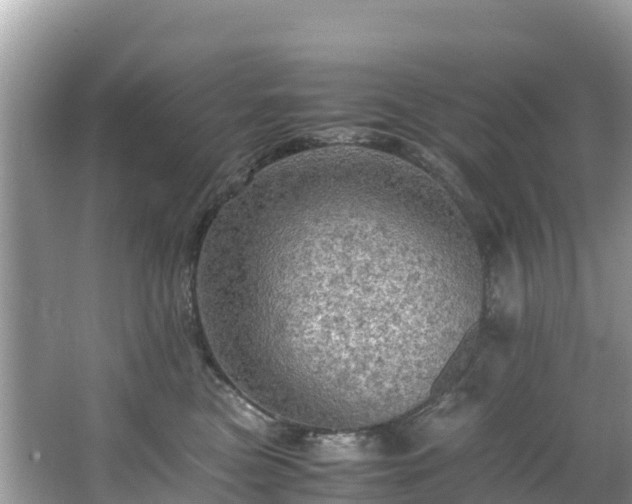 X0000065240473200602211218