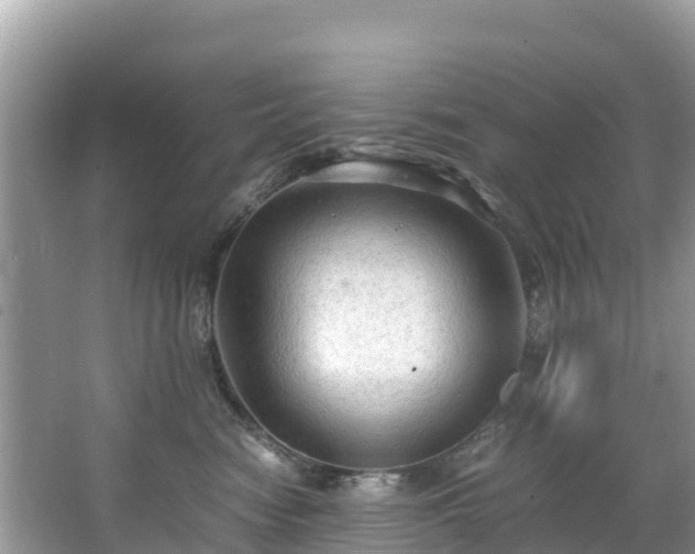 X0000065240474200602211218