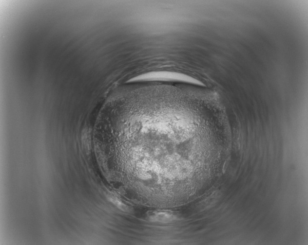 X0000065240475200602211218