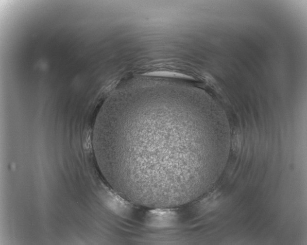 X0000065240477200602211218