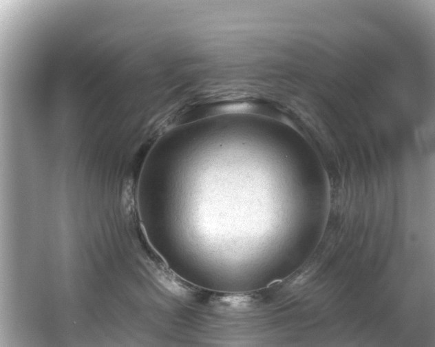 X0000065240478200602211218