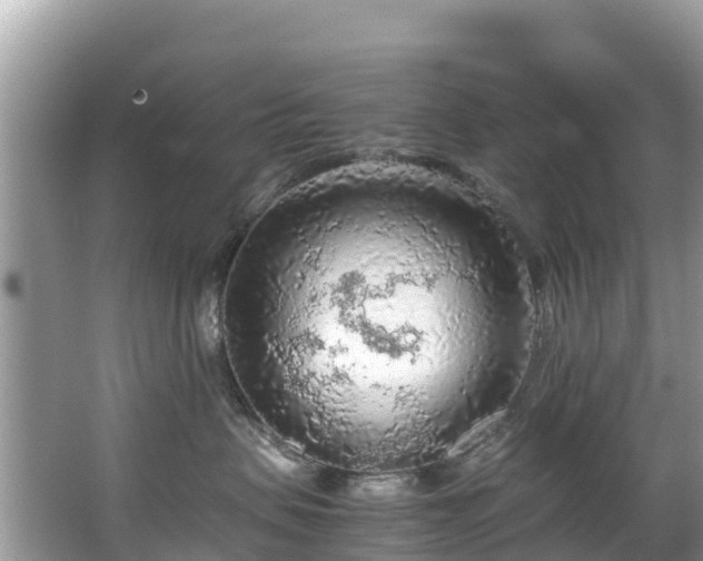 X0000065240479200602211218