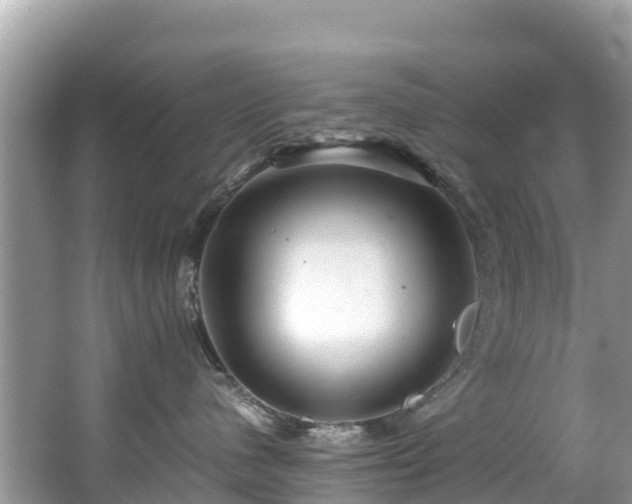 X0000065240480200602211218