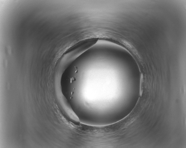 X0000065240481200602211217