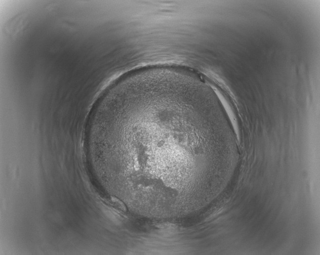 X0000065240483200602211217