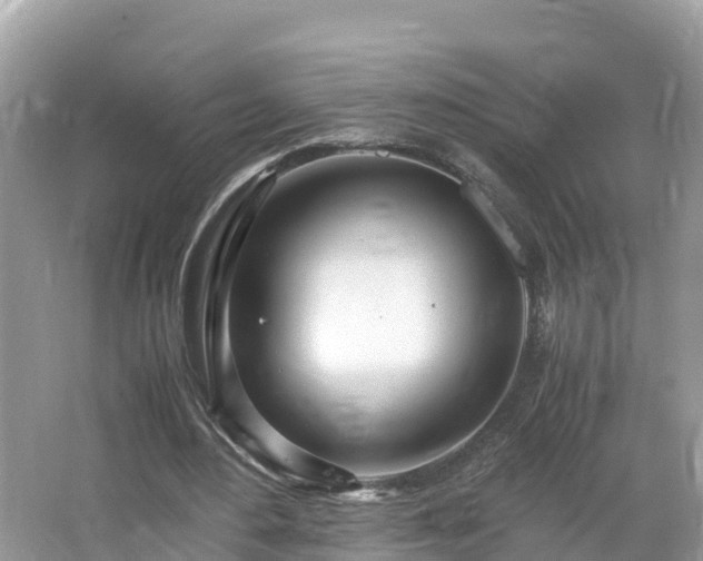 X0000065240484200602211217