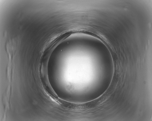 X0000065240485200602211217