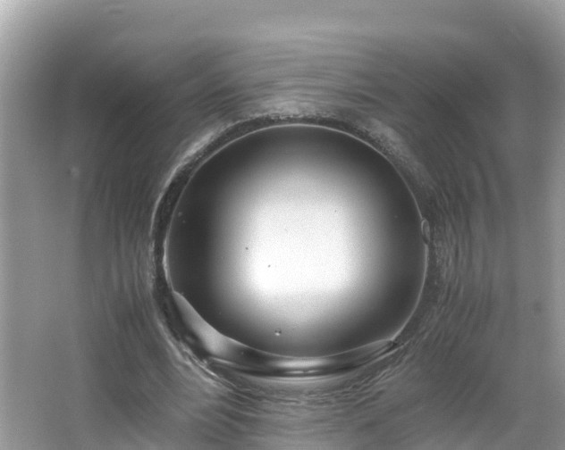 X0000065240488200602211217