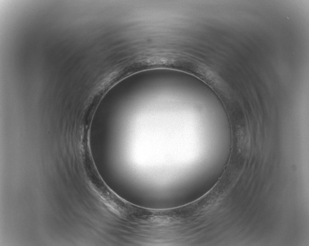 X0000065240490200602211217