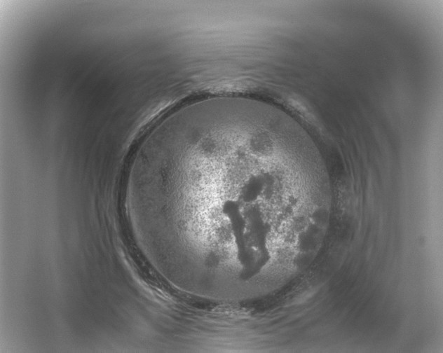 X0000065240491200602211217