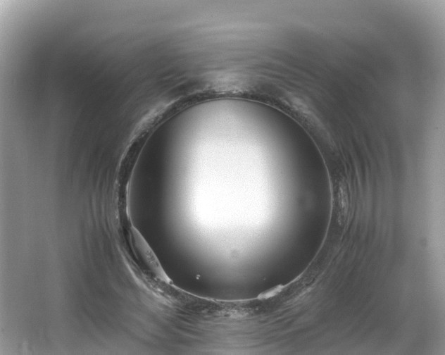 X0000065240492200602211217